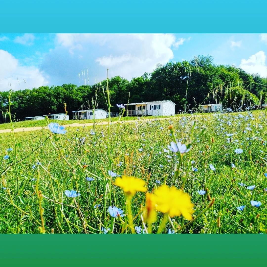 Camping Nature Le Valenty Mobil-Home-Dordogne Panoramique Clim Piscine Soturac Zewnętrze zdjęcie