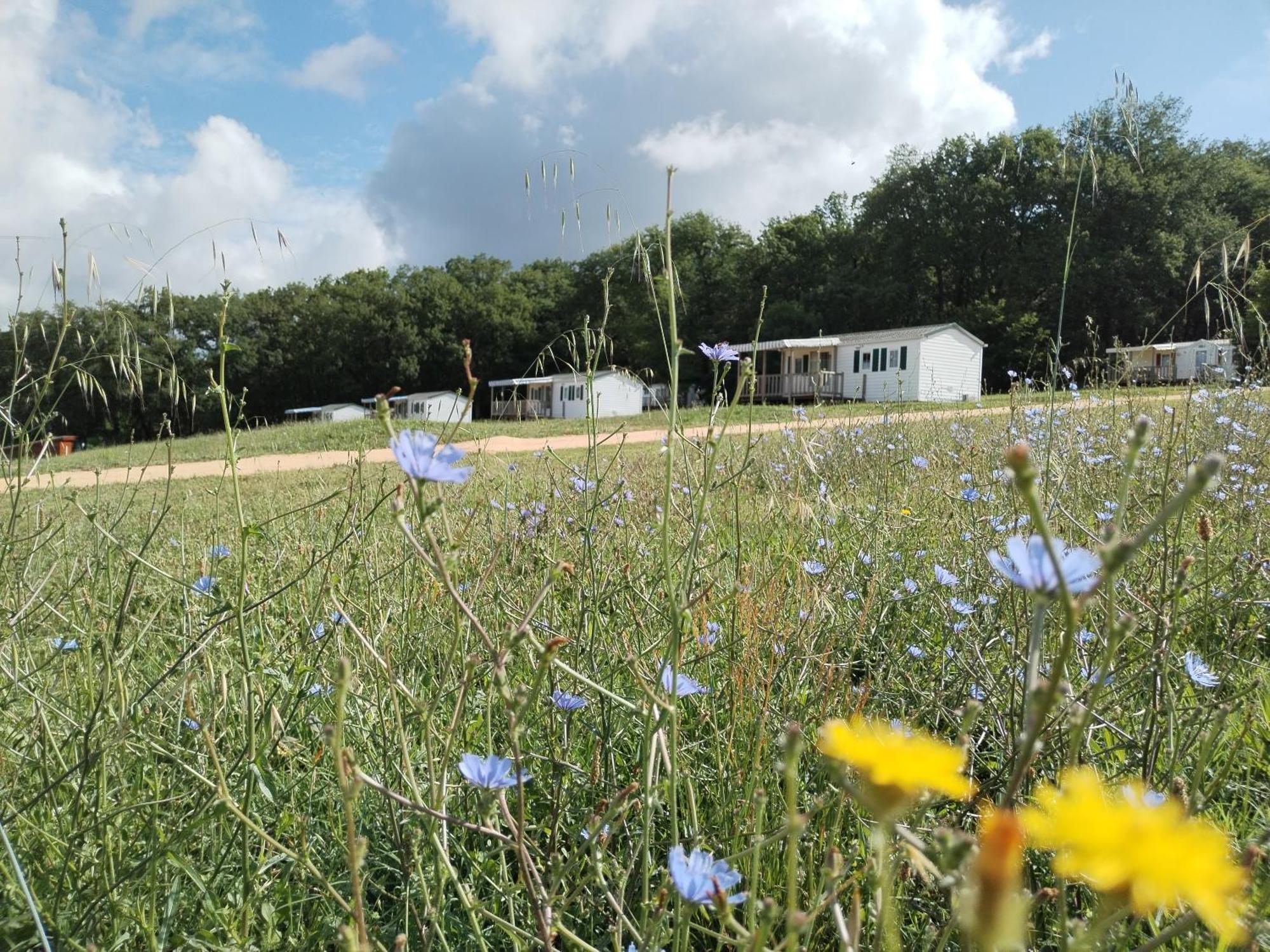 Camping Nature Le Valenty Mobil-Home-Dordogne Panoramique Clim Piscine Soturac Zewnętrze zdjęcie
